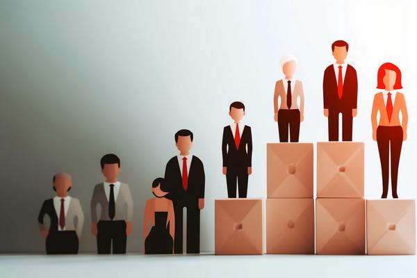 柳桥集团在中国50强企业排名中的项目融资路径分析 图2