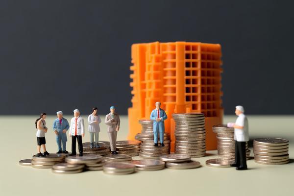 抵押贷款资金如何流入担保公司? 图1