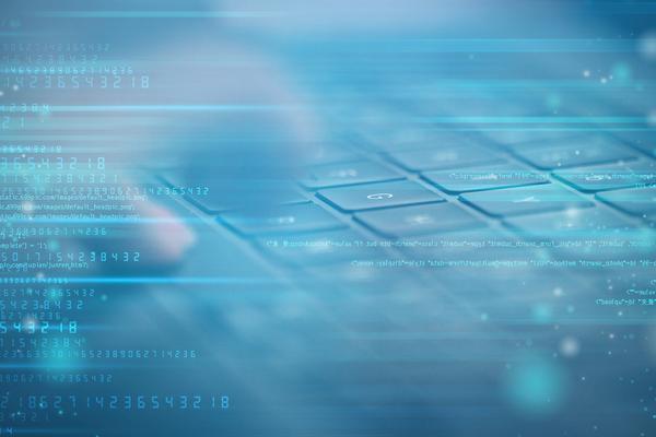 融资担保公司风险管理办法的完善与实施策略研究 图2
