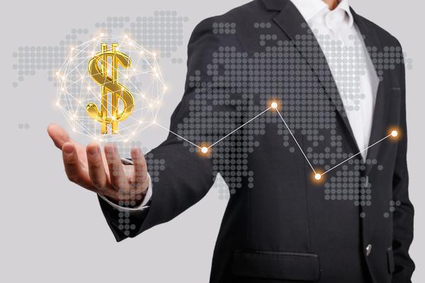 金融资本主义机构在项目融资与企业贷款中的角色及影响 图2