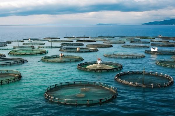 2022年农业银行最新利率解析与项目融资策略 图2