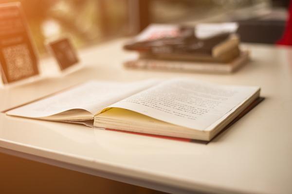 枣庄峄城人力资源局-社保查询与项目融资的支持 图2