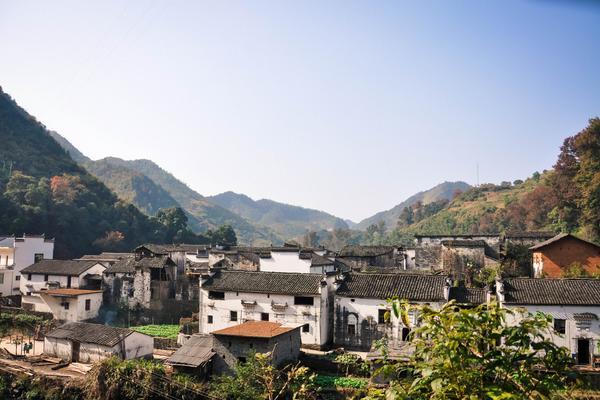 返乡种植蔬菜，助力乡村振兴图1