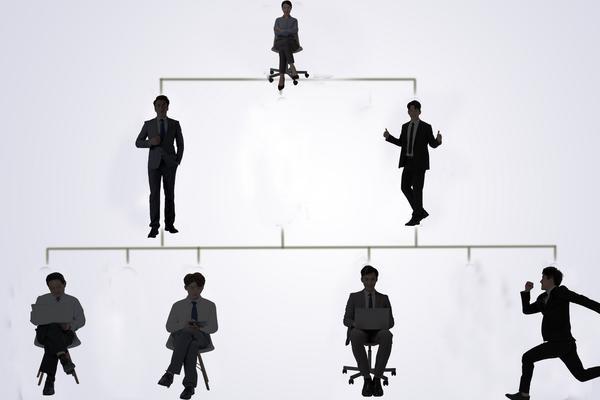个体人力资源薄弱的表现及项目融资策略 图2