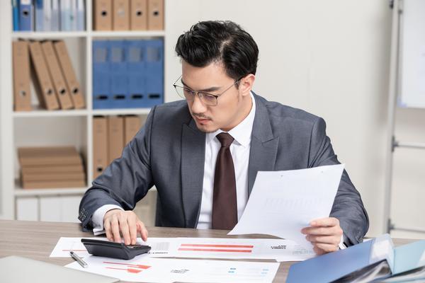 平台公司融资成本专项审计调查 图1