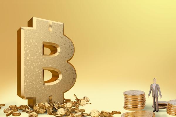 农村融资担保机构的作用与发展模式 图1