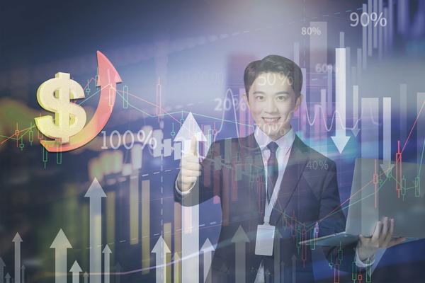 新加坡电子商务市场调研与项目融资策略分析 图1