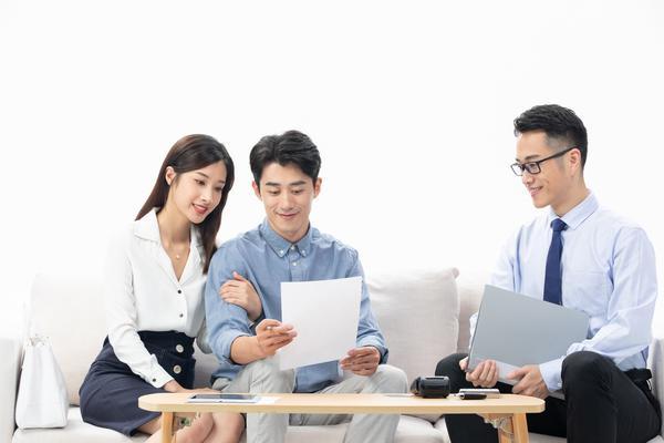 电机企业上市融资策略与项目管理路径 图2