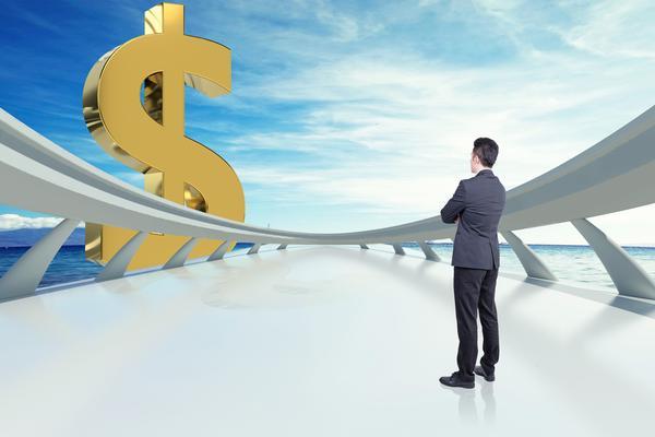 《著名企业融资案例解析：从成功到挫折的启示》 图1