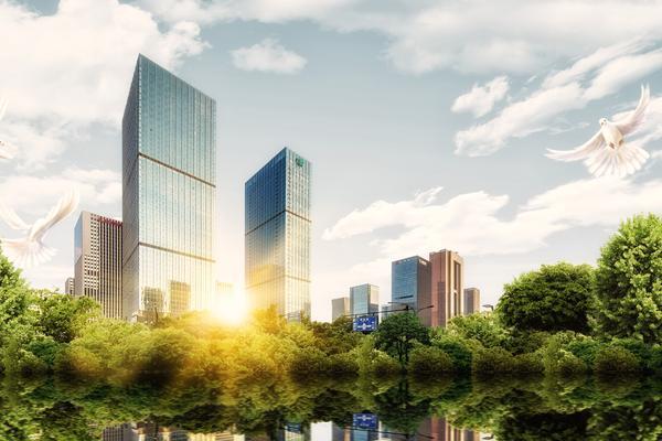 服务行业融资案例及项目融资策略分析 图1