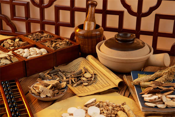 建设现代化中药材种植基地 图2