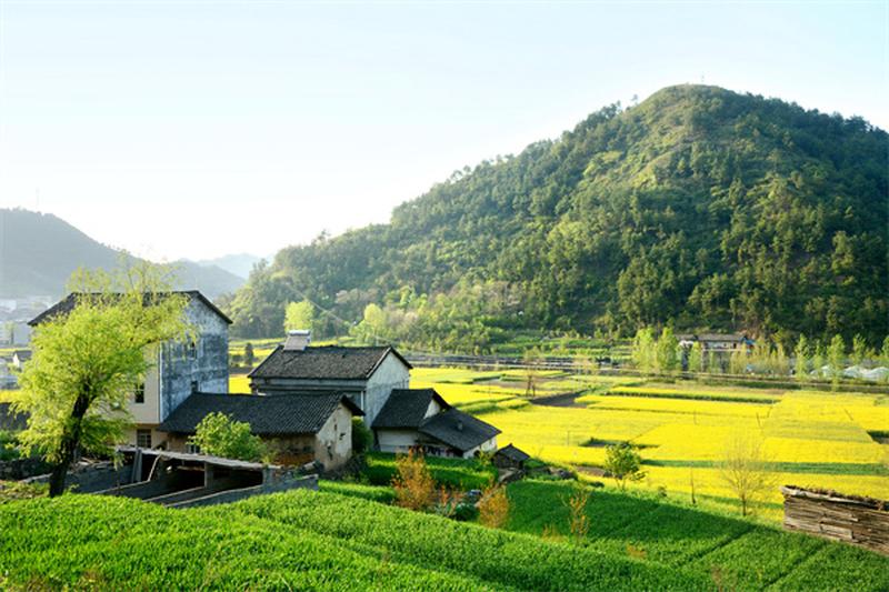 农村脱贫住房抵押贷款：助力乡村振兴，圆梦乐业 图2